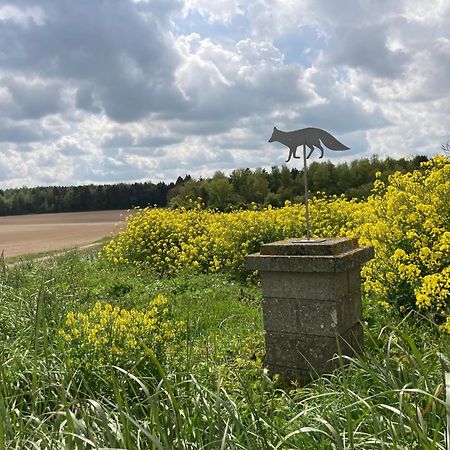 "Aux Chants Des Oiseaux" Domaine De La Renardiere Les Grandes-Loges Exteriér fotografie