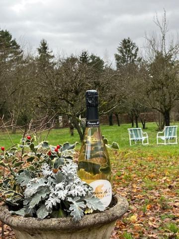 "Aux Chants Des Oiseaux" Domaine De La Renardiere Les Grandes-Loges Exteriér fotografie