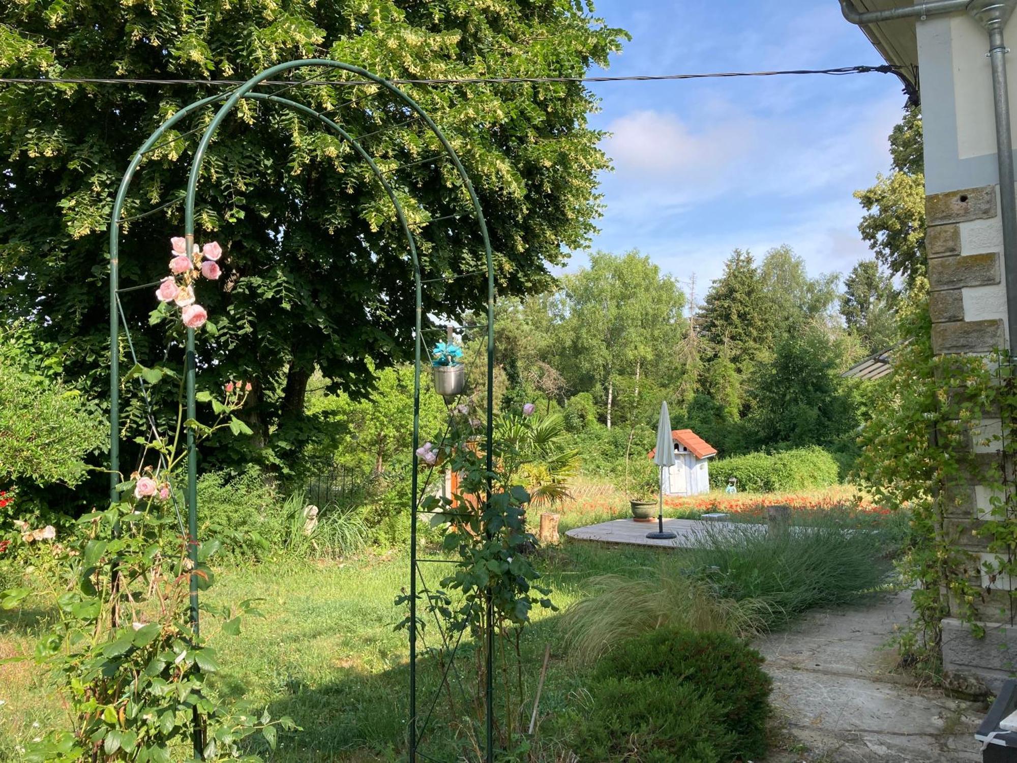 "Aux Chants Des Oiseaux" Domaine De La Renardiere Les Grandes-Loges Exteriér fotografie